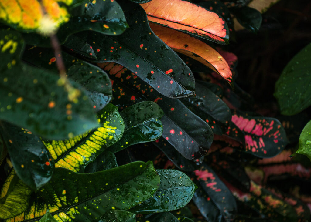 joshua-fuller-TPtOlSRD7hc-unsplash